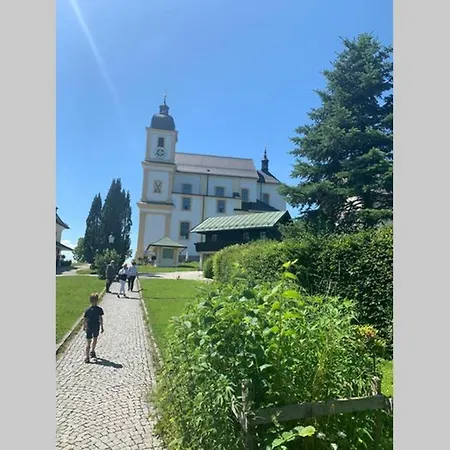 Panorama Alpine Bei Salzburg *